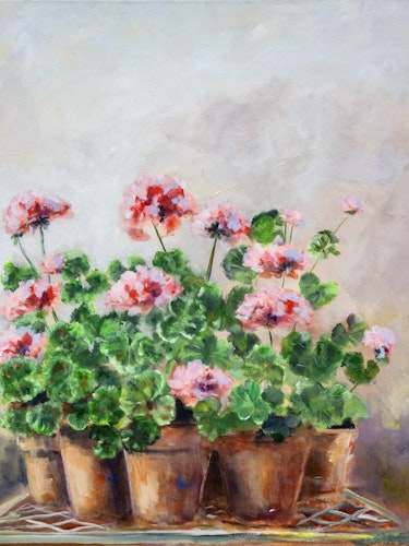 Liten rosa Pelargon 30x40