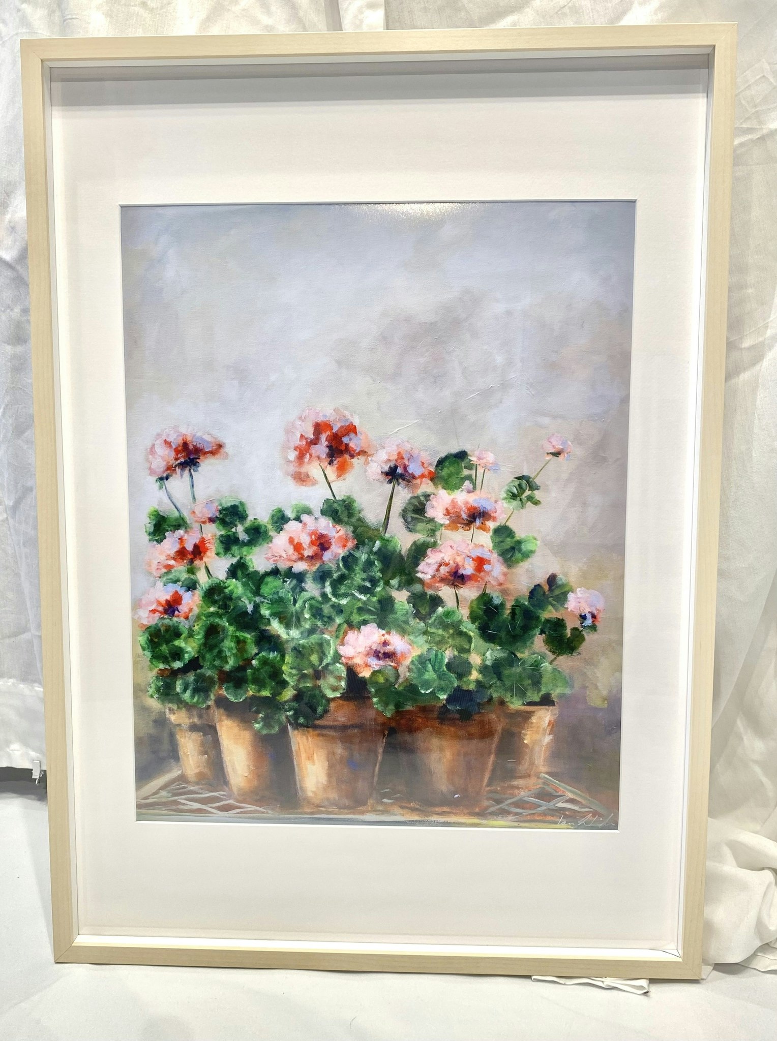Rosa Pelargon i kruka 40x50