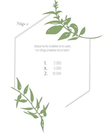 Frågeslinga till dop eller babyshower