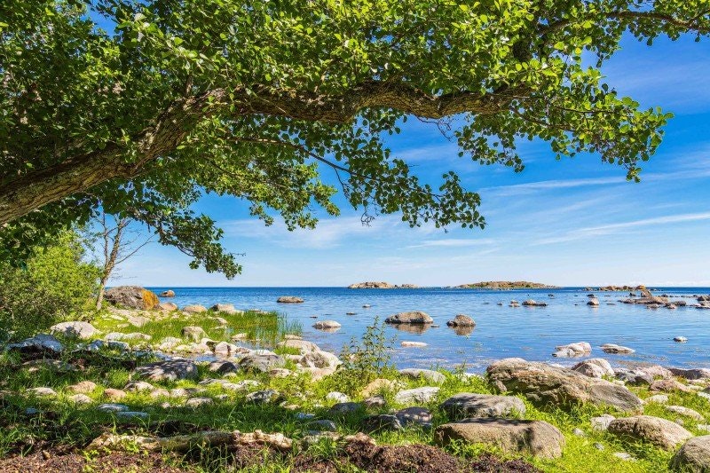 Nyckelstrategier för att vinna en strandskyddsprocess i Mark- och miljödomstolen