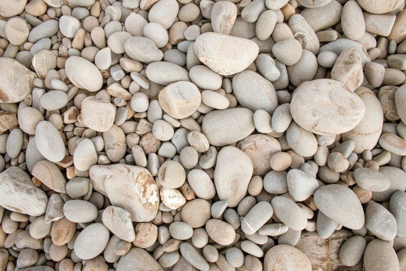 Regeringens lagrådsremiss om mer differentierat strandskydd