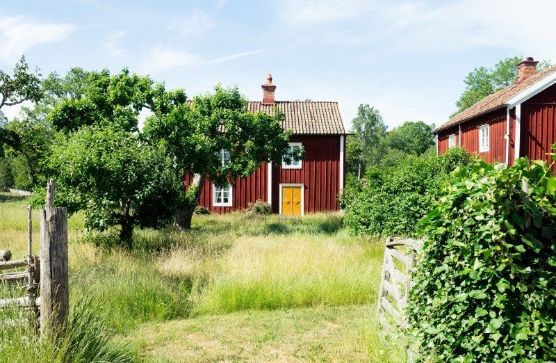 Strandskyddsdispens och tomtplatsavgränsning