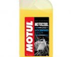 Motul Motocool Expert -37°C 1 L