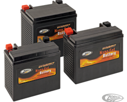 Batteri  NANO-GEL ZODIAC (ersätter YTX20L-BS)