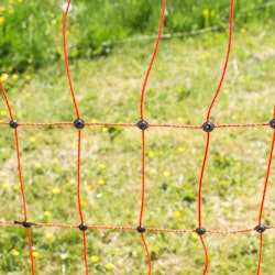 Fjäderfänät 50 m, 112 cm