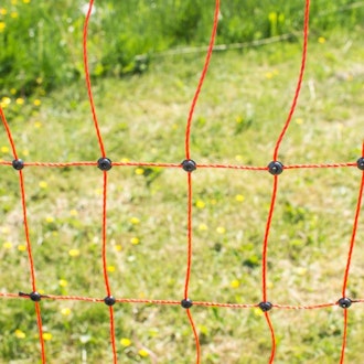 Fjäderfänät 50 m, 112 cm