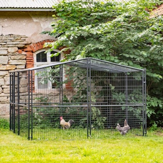 Hönsgård
