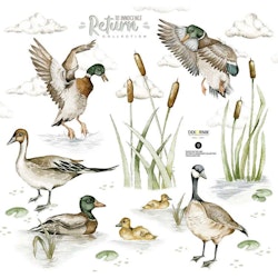 Dekornik, wallstickers Ducks on the Lake