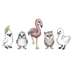Stickstay, Fugleelskere wallstickers