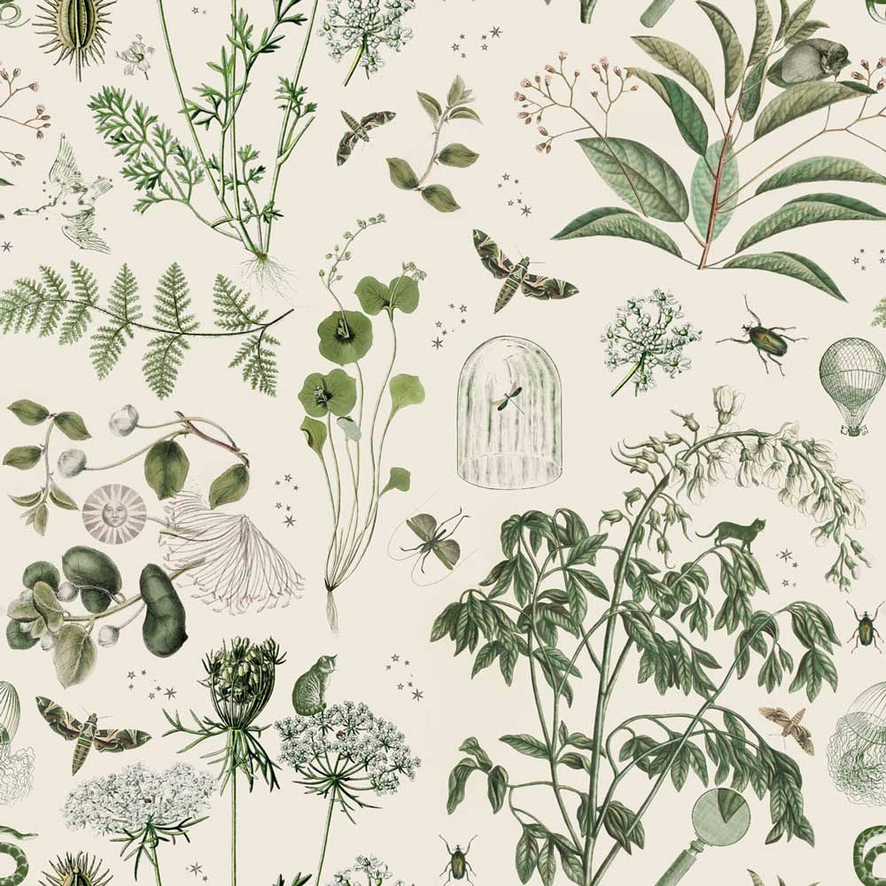 Dekornik, tapet Green Botanical Stories - Baby-love.dk