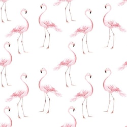 Dekornik, tapet Flamingos
