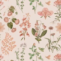Dekornik, Tapet Wild flowers and herbs