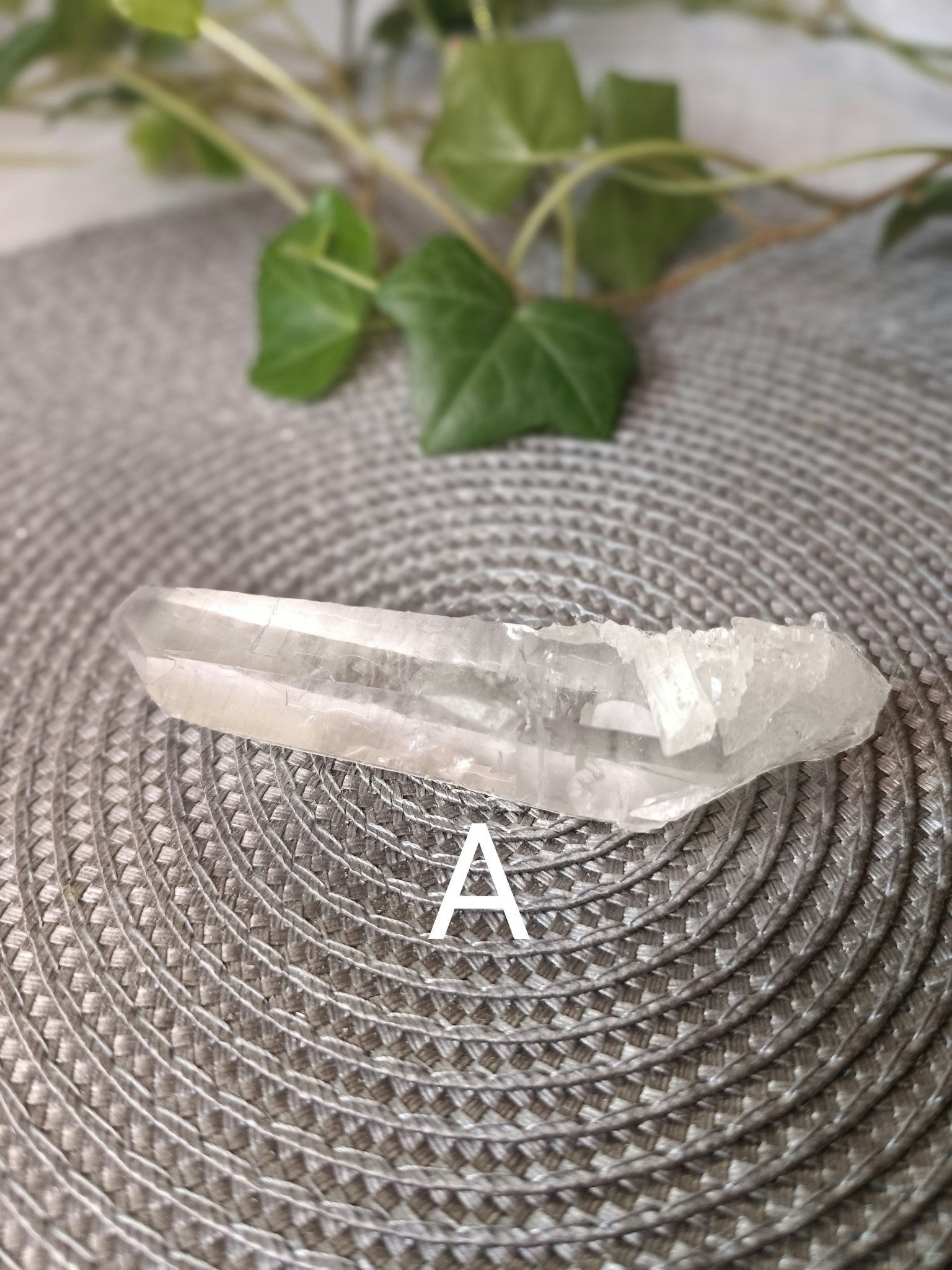 Lemurian