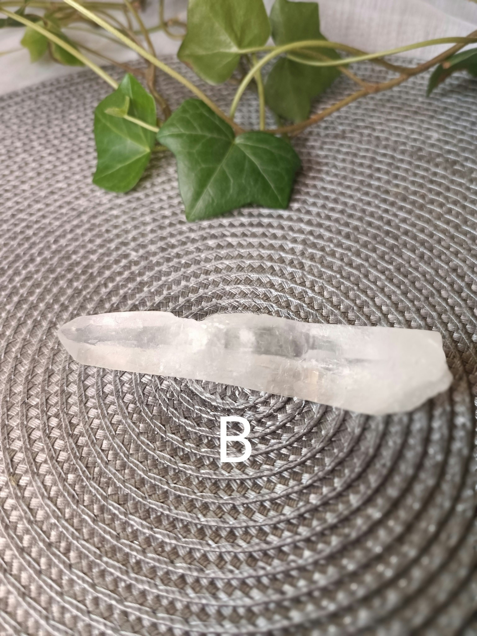 Lemurian