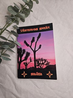 Växternas språk, Solöga
