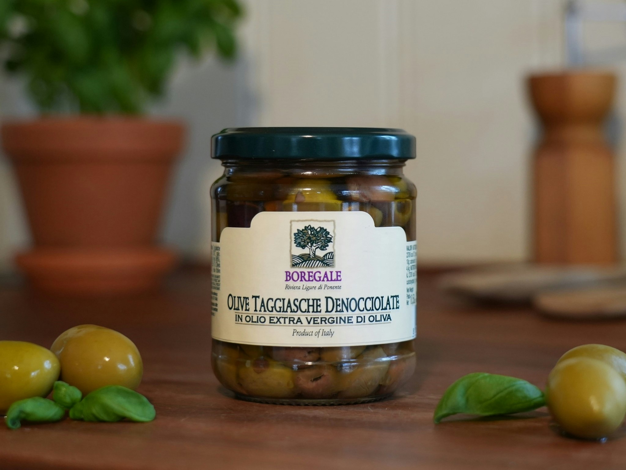 Olive Taggiasche urkärnade Liguriska oliver