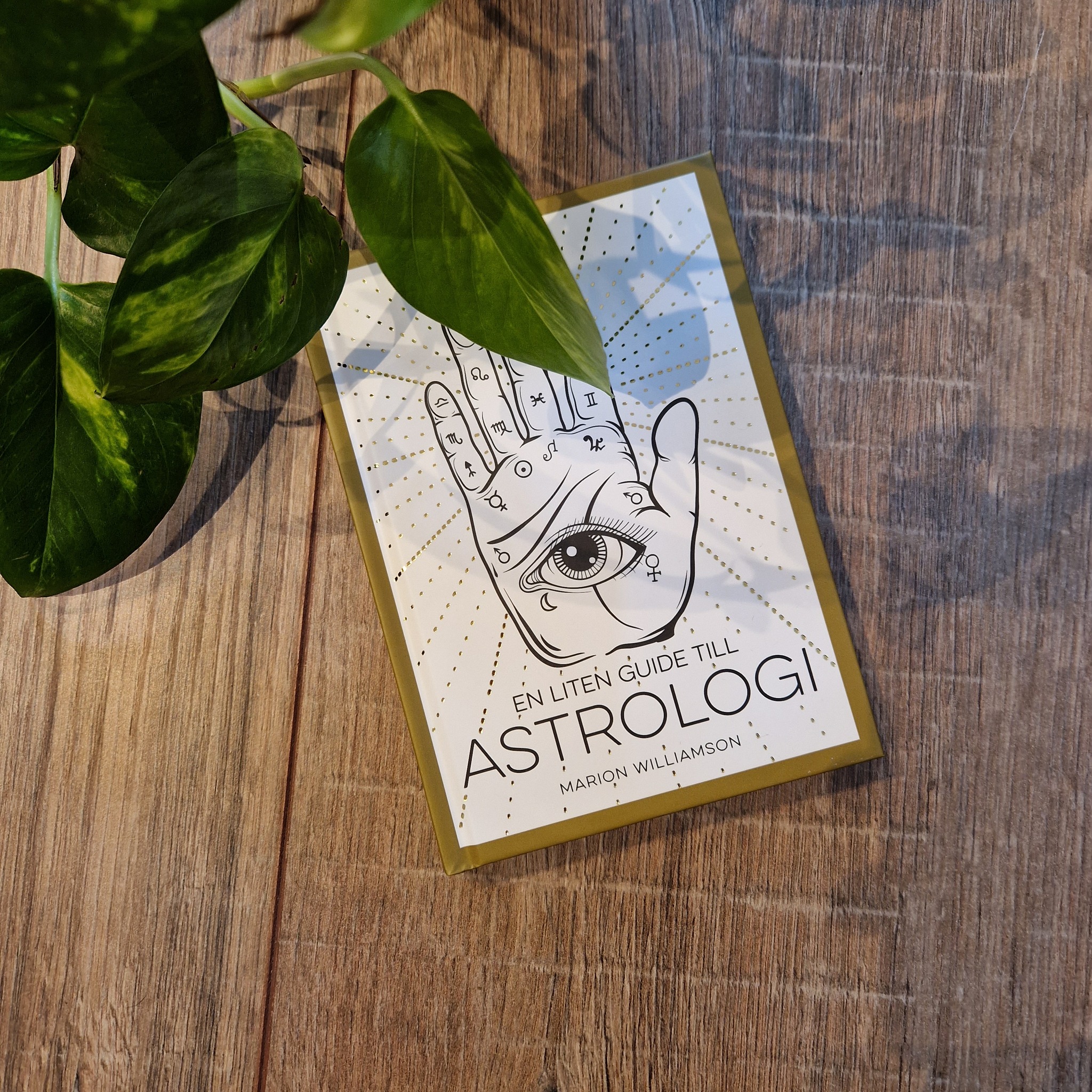 En liten guide till astrologi