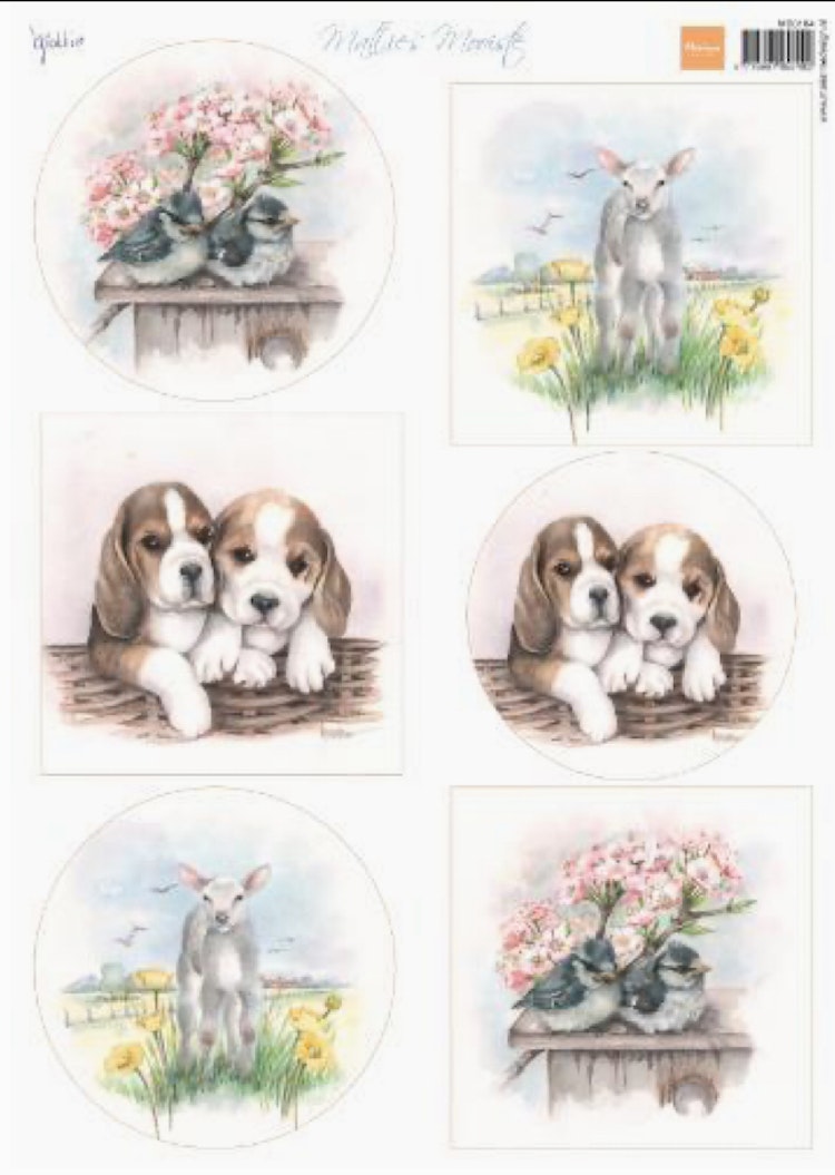 Marianne Design - Matties Mooiste - MB0184 - Spring