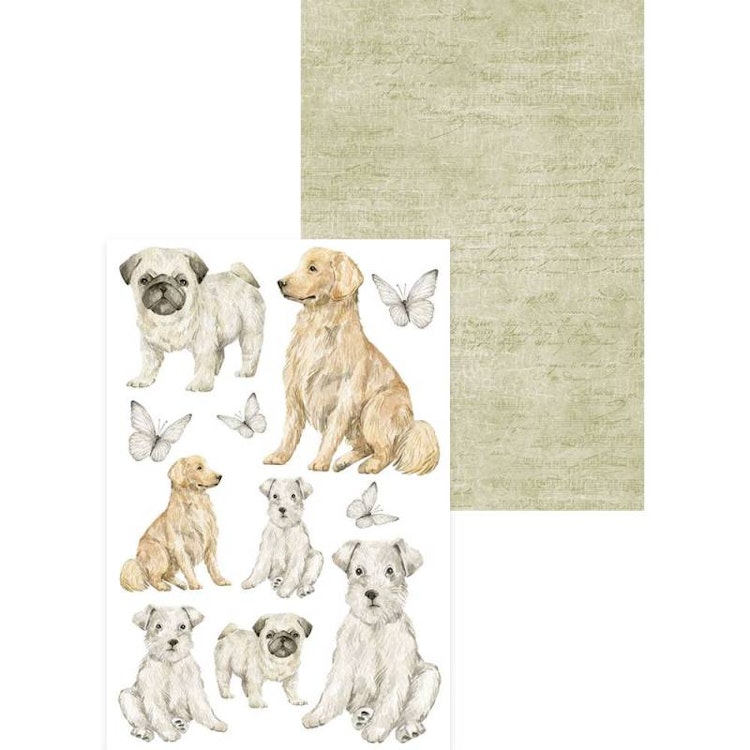 P13 Mini creative pad - Husdjur (10x15cm)