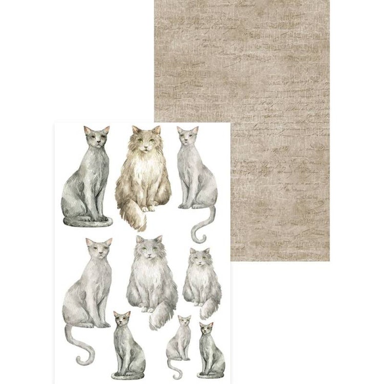 P13 Mini creative pad - Husdjur (10x15cm)