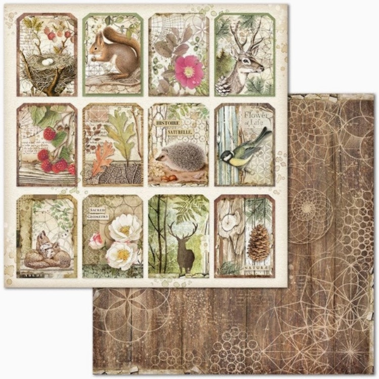 Stamperia - 12x12 Paper pad - Forest - SBBL63