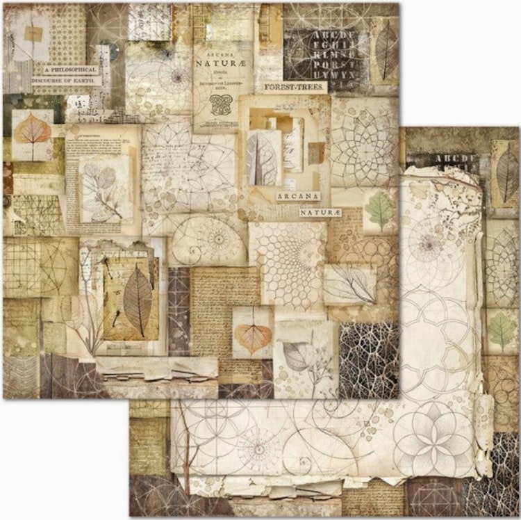Stamperia - 12x12 Paper pad - Forest - SBBL63