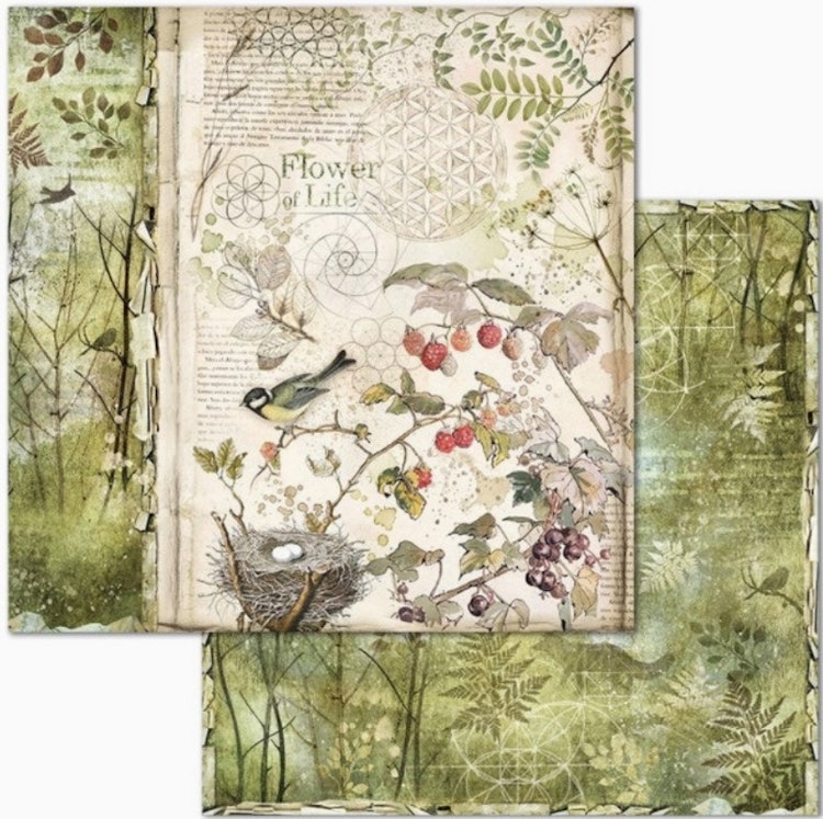 Stamperia - 12x12 Paper pad - Forest - SBBL63