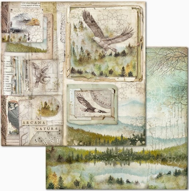 Stamperia - 12x12 Paper pad - Forest - SBBL63