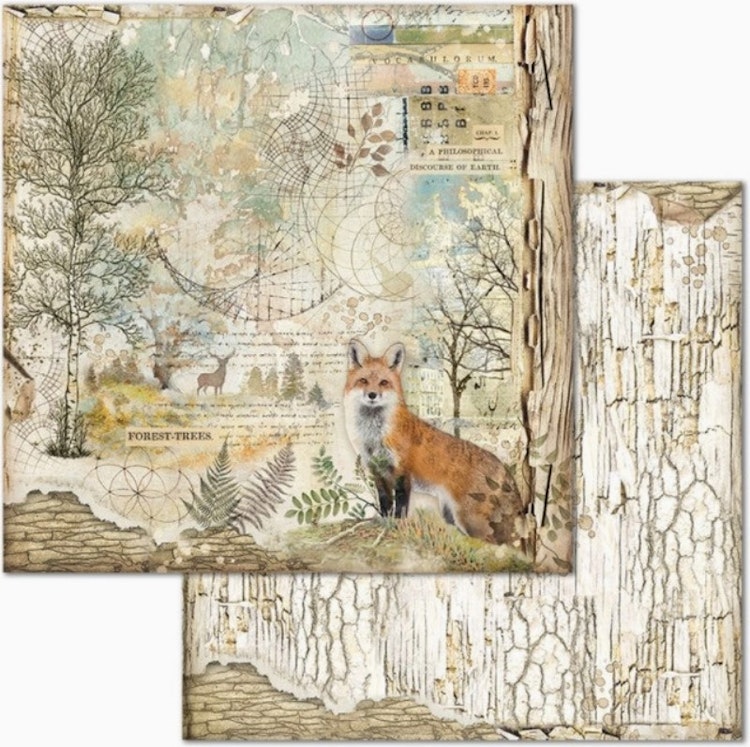 Stamperia - 12x12 Paper pad - Forest - SBBL63