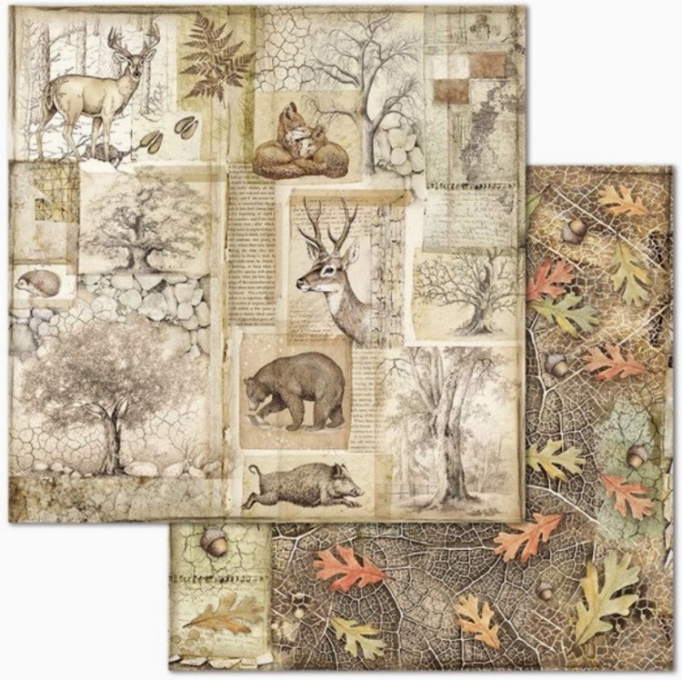 Stamperia - 12x12 Paper pad - Forest - SBBL63
