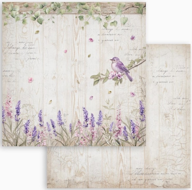 Stamperia - 12x12 Paper pad - Lavendel - SBBL155