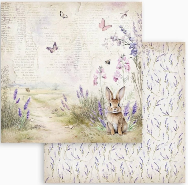 Stamperia - 12x12 Paper pad - Lavendel - SBBL155