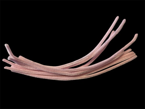 Piprensare, ljusrosa, 30cm x 6mm - 10st