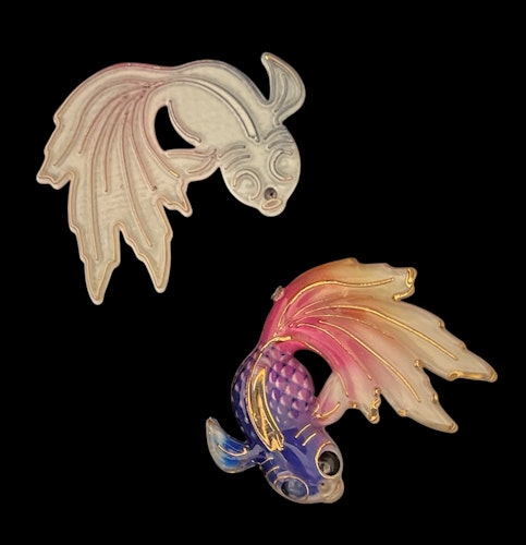 Koi-fisk, lila-rosa-gul