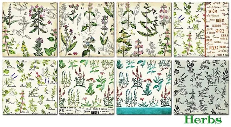 Decorer - Herbs (15x15cm)