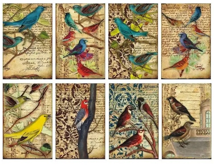 Decorer Mini - Birds (7x10,8cm)