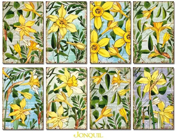 Decorer Mini - Jonquil (7x10,8cm)