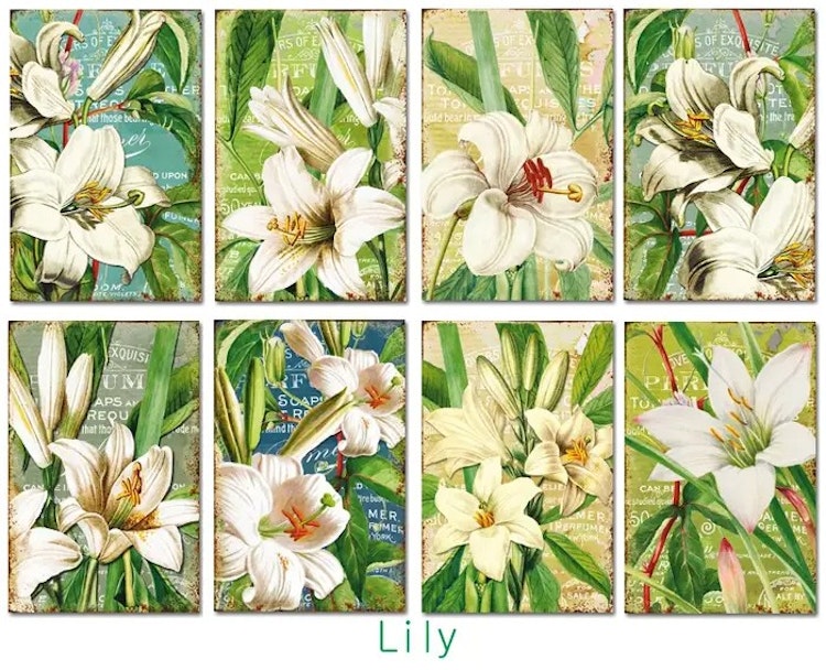 Decorer Mini - Lily (7x10,8cm)