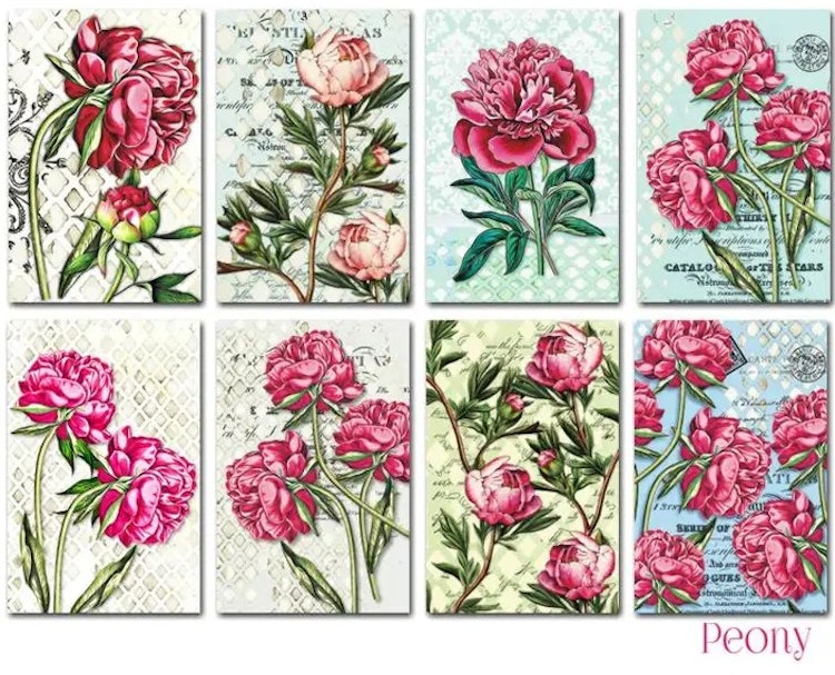 Decorer Mini - Peony (7x10,8cm)
