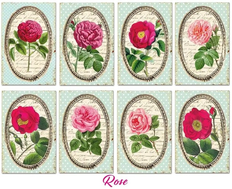 Decorer Mini - Rose (7x10,8cm)