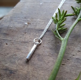 Silverhalsband Pinnen