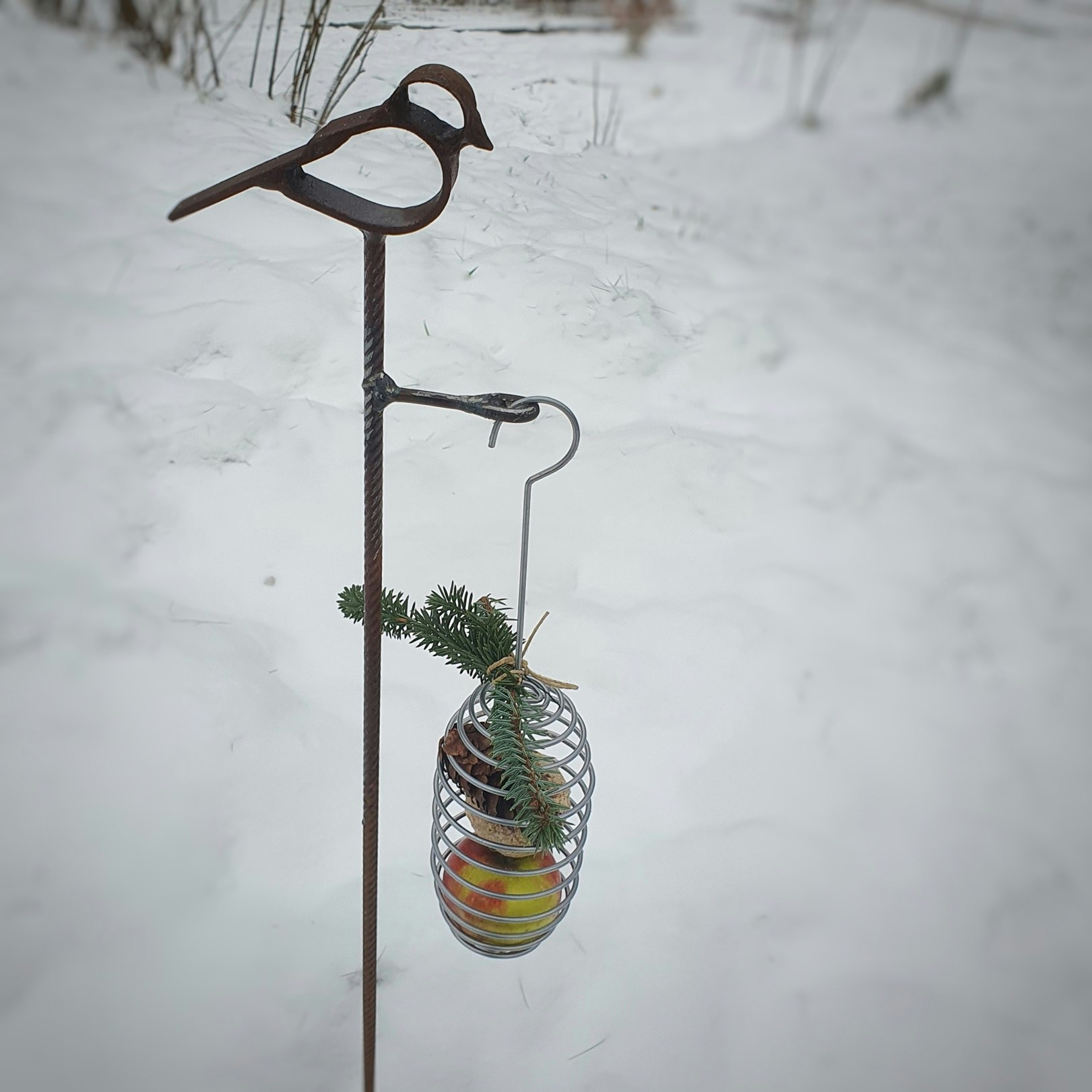 Talgbollshållare Fri Fågel