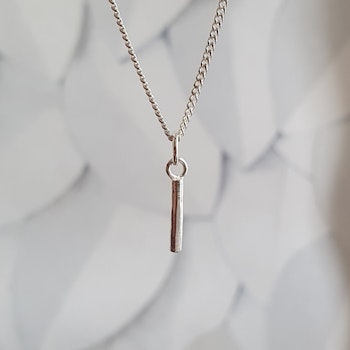 Silverhalsband Pinnen
