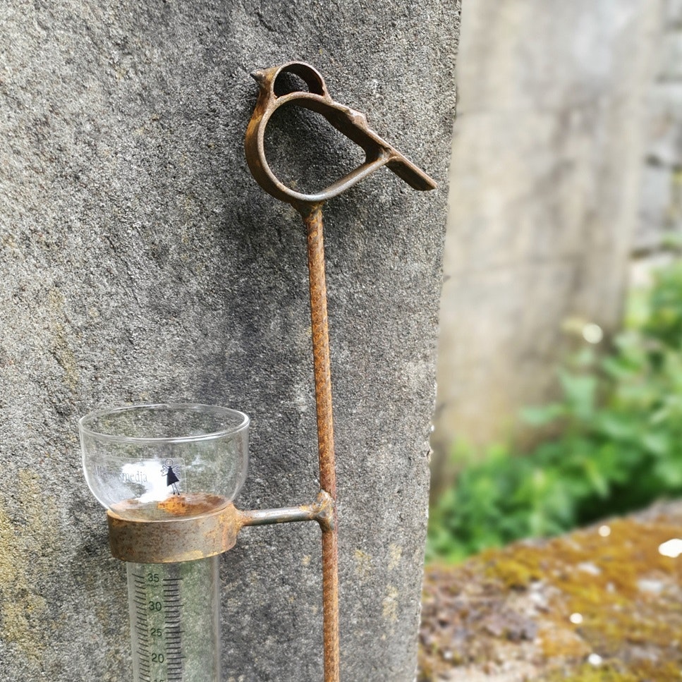 Regnmätare Fri Fågel med mätglas i glas.