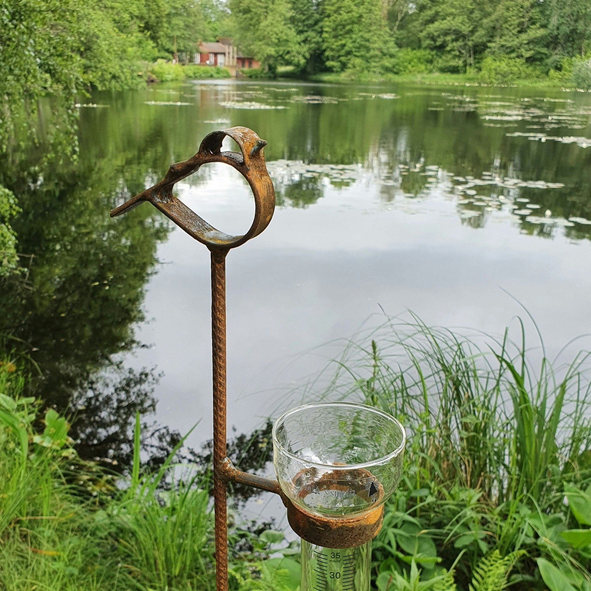Regnmätare Fri Fågel med mätglas i glas.