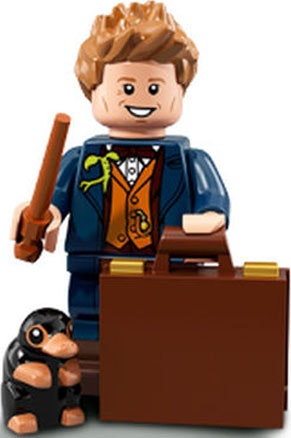 Newt Scamander (Harry Potter and Fantastic Beasts Series 1)