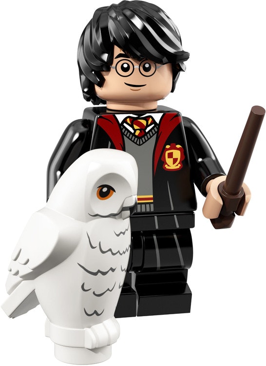 Harry Potter in School Robes (Harry Potter and Fantastic Beasts Series 1)
