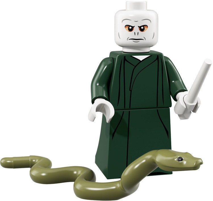 Lord Voldemort (Harry Potter and Fantastic Beasts Series 1)