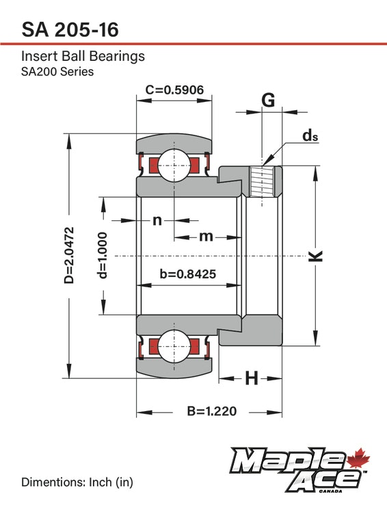 SA205-16 G Insatslager 1" med excentrisk låsning och smörjöppning