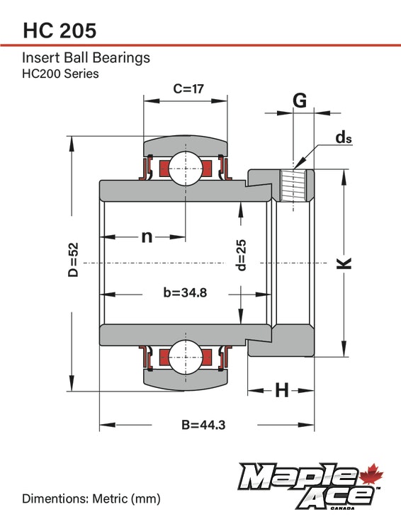 HC205 G 25mm Insatslager med excentrisk låsning och smörjöppning